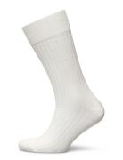 Off White Ribbed Socks AN IVY White