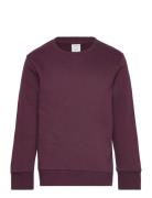 Sweatshirt Basic Lindex Burgundy