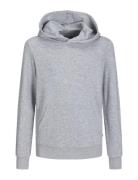 Jjebradley Sweat Hood Noos Jnr Jack & J S Grey