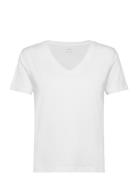 100% Cotton V-Neck T-Shirt Mango White