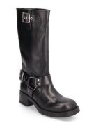 Beau Boot Steve Madden Black