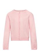 Cardigan Pointelle Creamie Pink