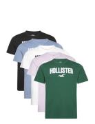 Hco. Guys Graphics Hollister Patterned