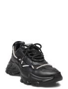 Miracles Sneaker Steve Madden Black