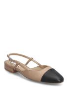 Belinda Ballerina Steve Madden Brown