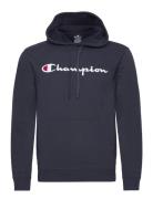 Hooded Sweatshirt Champion Navy