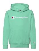 Hooded Sweatshirt Champion Green