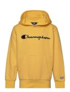 Hooded Sweatshirt Champion Yellow