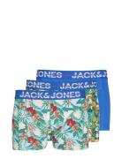 Jacpineapple Trunks 3 Pack Sn Jack & J S Blue