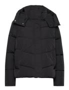 Modern Padded Jacket Calvin Klein Black