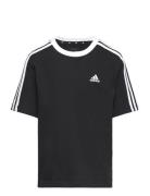G 3S Bf T Adidas Sportswear Black