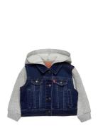 Levi's® Hooded Trucker Jacket Levi's Blue