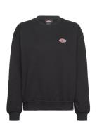 Millersburg Sweatshirt W Dickies Black