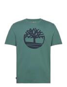 Kennebec River Tree Logo Short Sleeve Tee Sea Pine Timberland Green