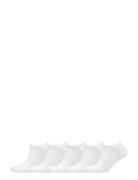 Decoy Sneaker Sock Cotton 5-Pk Decoy White