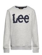 Wobbly Graphic Bb Crew Lee Jeans Grey