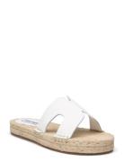 Cheer Up Sandal Steve Madden White