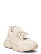 Project Sneaker Steve Madden Cream