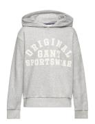 Original Sportswear Sweat Hoodie GANT Grey