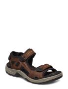 Offroad ECCO Brown