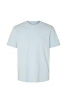 Slhaspen Print Ss O-Neck Tee W Noos Selected Homme Blue
