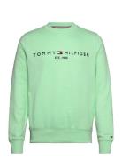 Tommy Logo Sweatshirt Tommy Hilfiger Green