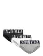 Hip Brief 3Pk Calvin Klein Grey