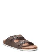 Spectra Suede M Exani Brown