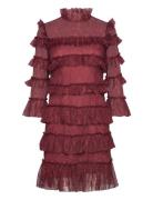 Carmine Frill Mini Lace Dress Malina Burgundy