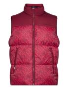 New York Monogram Prt Gilet Tommy Hilfiger Red