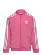 Sst Track Top Adidas Originals Pink