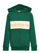 Hoodie Adidas Originals Green