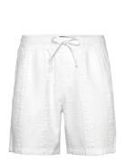Hco. Guys Shorts Hollister White