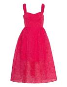Embroidered Lace Strappy Dress French Connection Pink