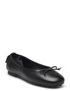 Mihay Ballerina GANT Black