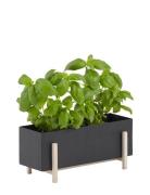 Botanic Herb Box Design House Stockholm Black