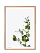 Eucalyptus 2 Poster & Frame Patterned