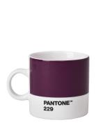 Espresso Cup PANT Purple