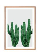 Cactus Poster & Frame Patterned