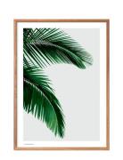Palm Poster & Frame Patterned