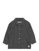 Shirt Oscar Wheat Black