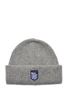 Alpine Badge Beanie GANT Grey