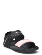 Squirt G Ps Sandal Champion Patterned