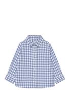 Gingham Check Cotton Shirt Mango Blue