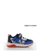 Sonic Sneakers Leomil Blue