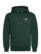 Small Logo Hoodie GANT Green