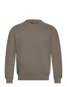 Brandon Lily Sweatshirt Morris Green