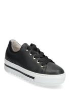 Sneaker Gabor Black