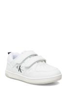 Low Cut Velcro Sneaker Calvin Klein White