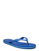 Orlando Flipflop Lexington Clothing Blue